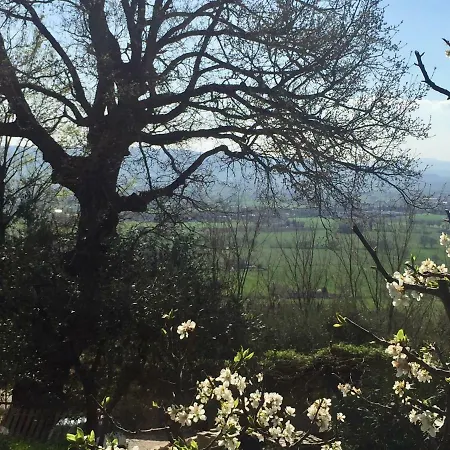 Apartamento Lavanda E Rosmarino Asís