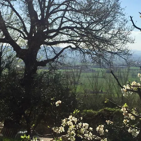 Appartamento Lavanda E Rosmarino Assisi