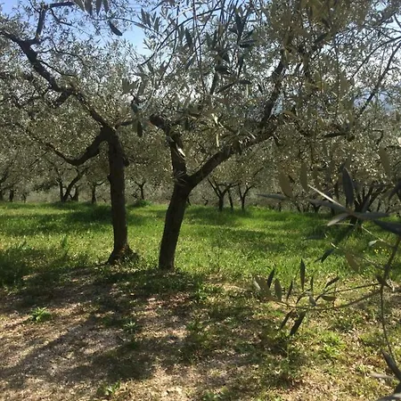 Lavanda E Rosmarino Assisi