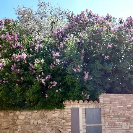 Lavanda E Rosmarino *