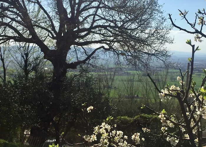 Apartman Lavanda E Rosmarino Assisi