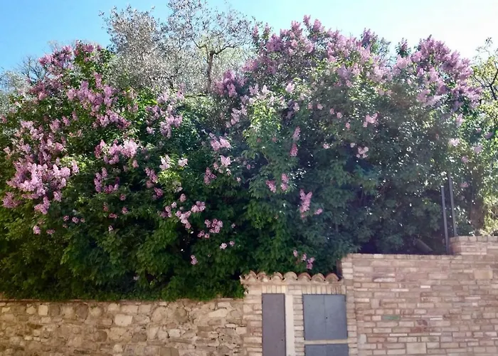 Lavanda E Rosmarino *